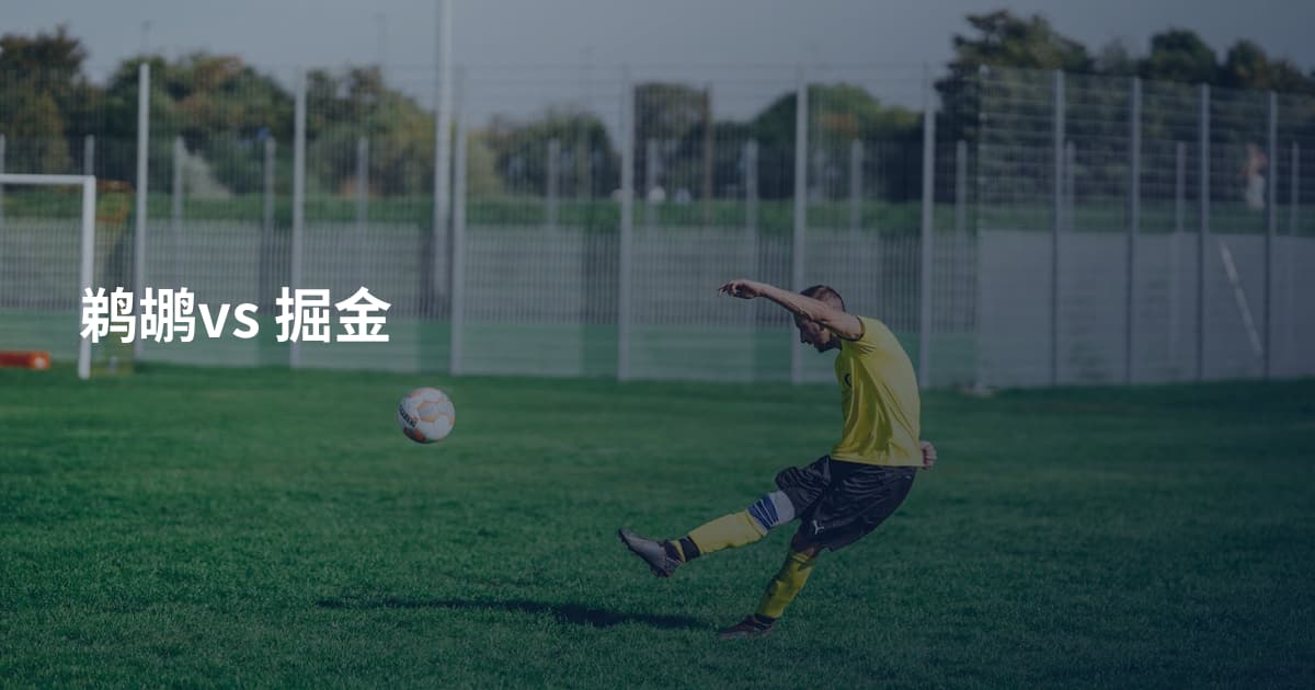 鹈鹕vs 掘金
