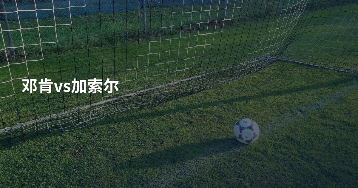 邓肯vs加索尔