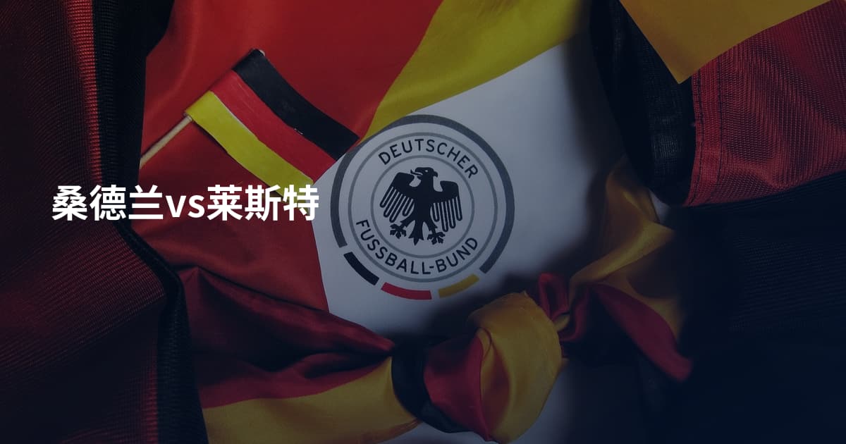 桑德兰vs莱斯特