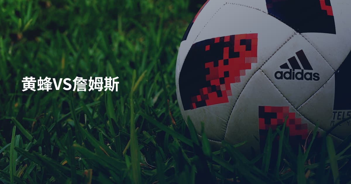 黄蜂VS詹姆斯