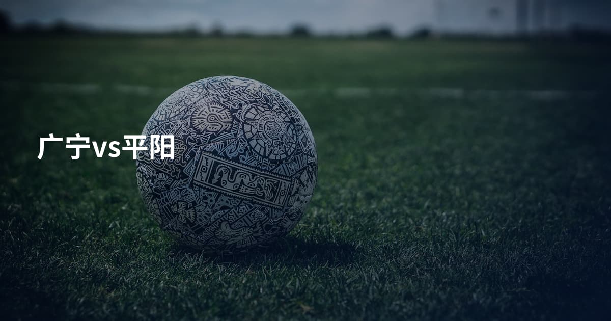 广宁vs平阳