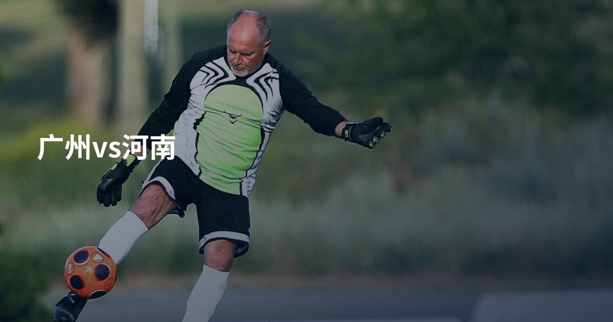 广州vs河南