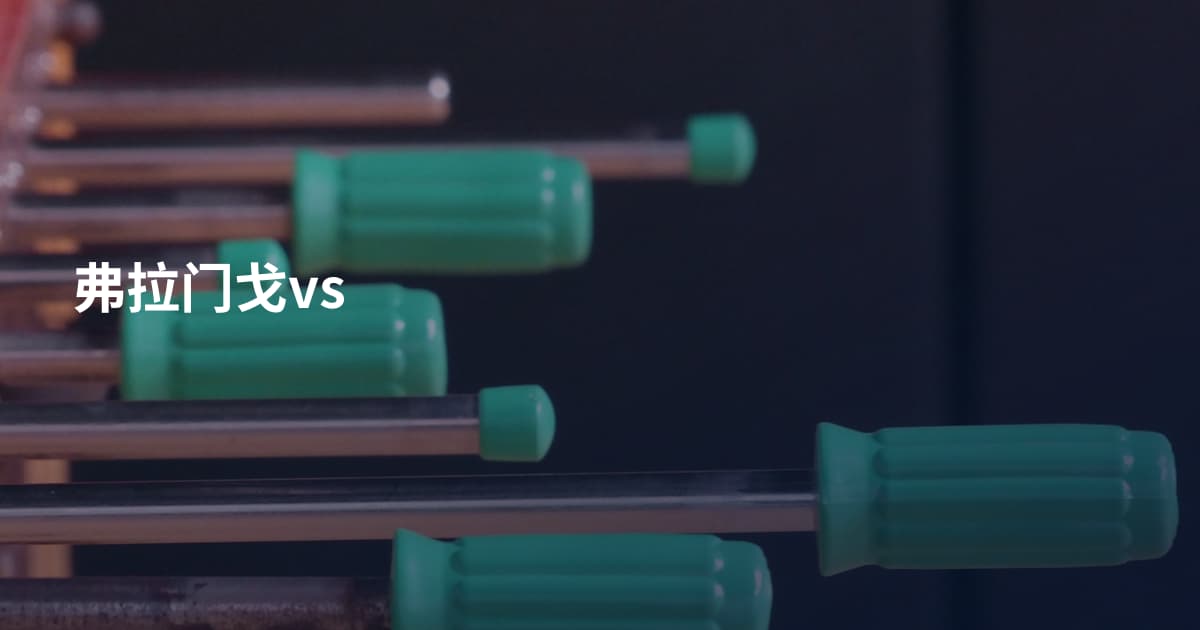 弗拉门戈vs