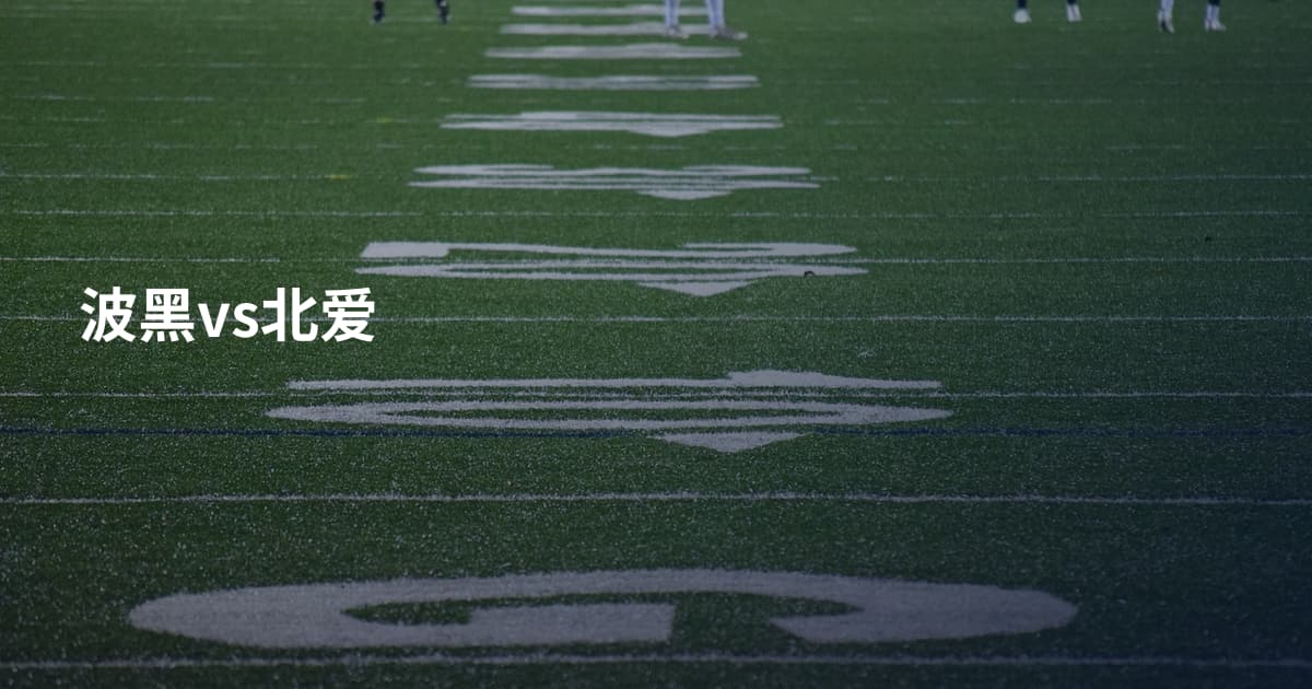 波黑vs北爱