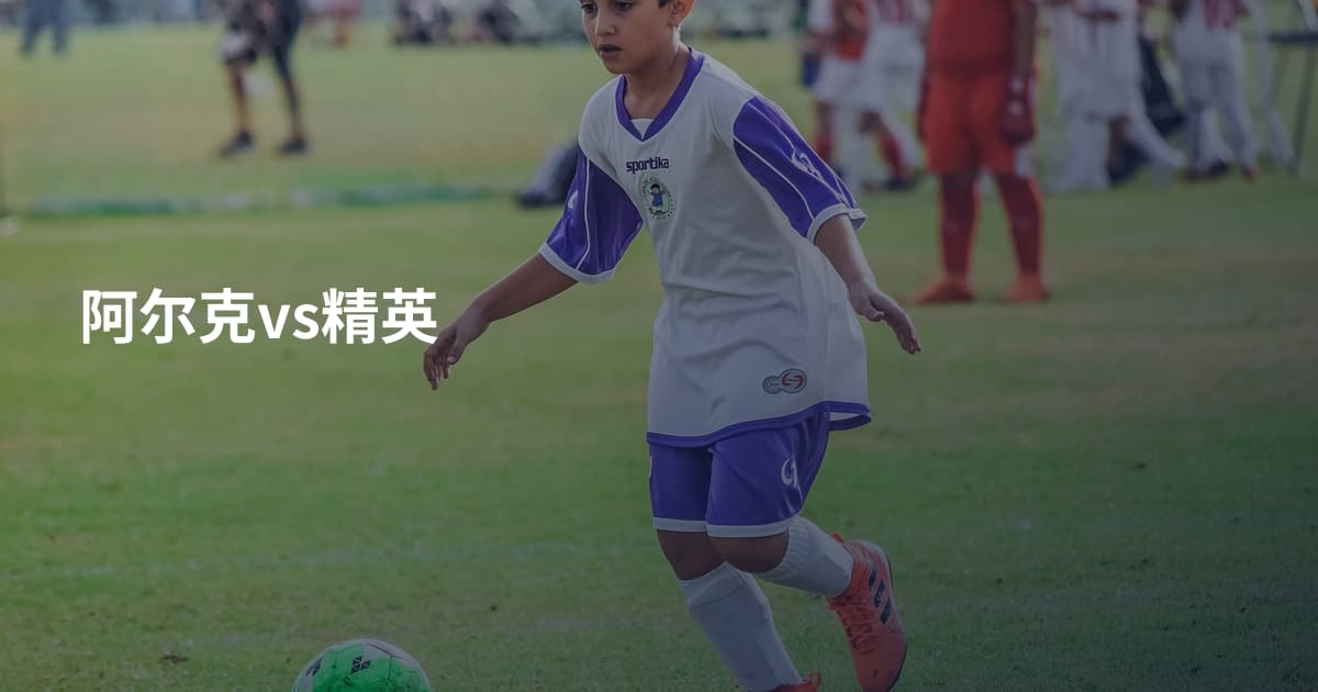 阿尔克vs精英