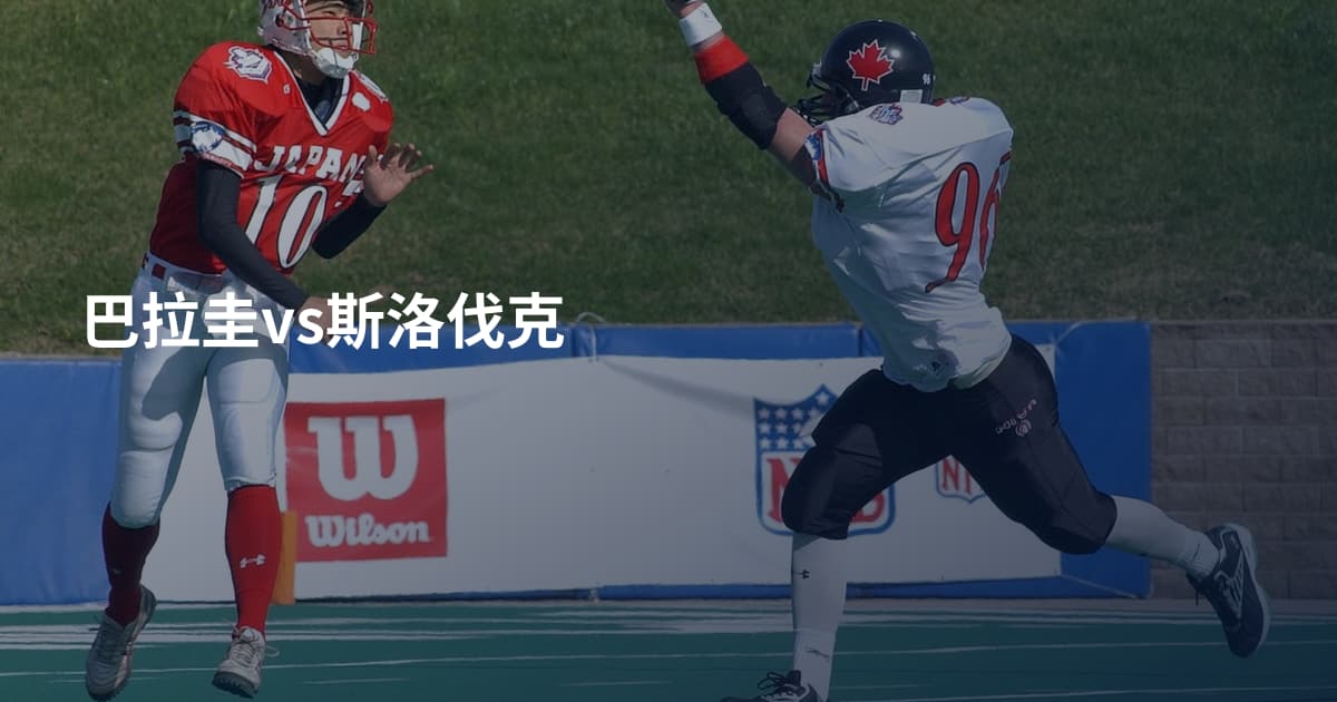 巴拉圭vs斯洛伐克