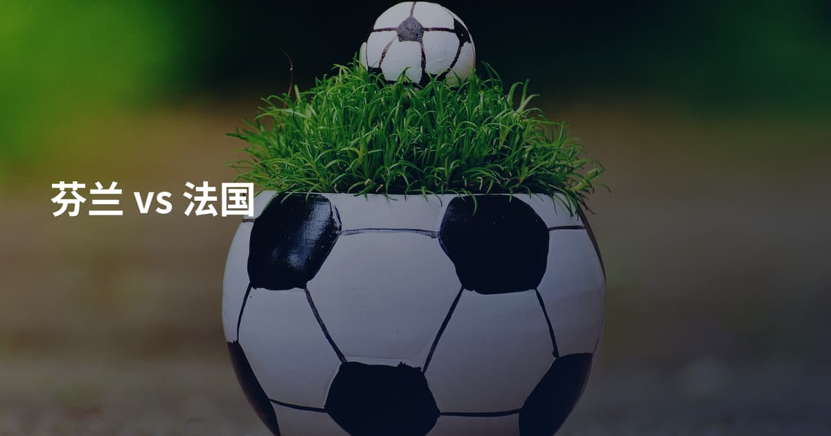 芬兰 vs 法国