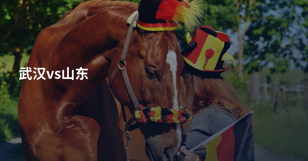 武汉vs山东