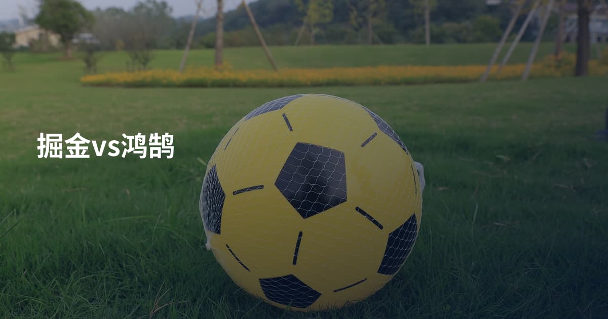 掘金vs鸿鹄