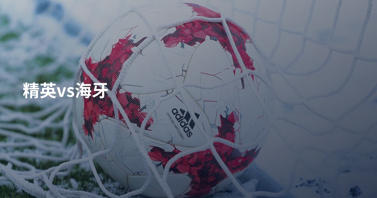 精英vs海牙