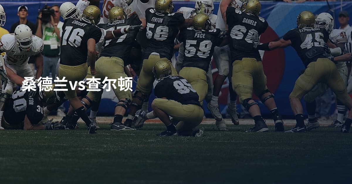 桑德兰vs查尔顿