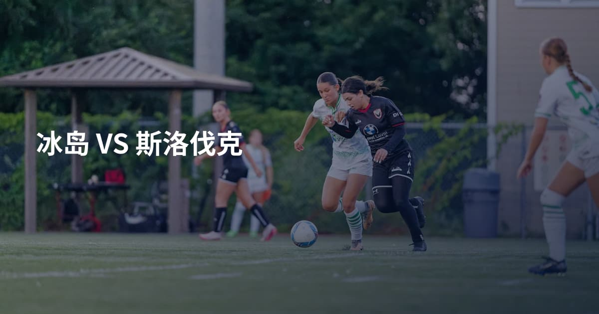 冰岛 VS 斯洛伐克
