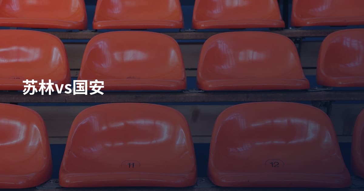 苏林vs国安