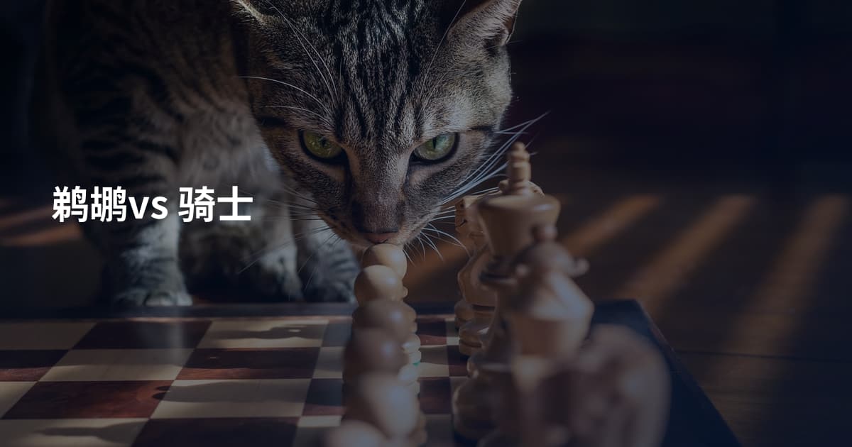 鹈鹕vs 骑士