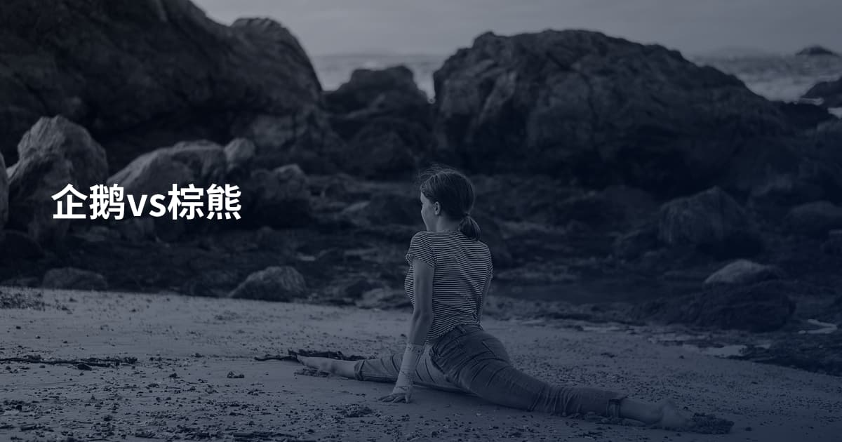 企鹅vs棕熊