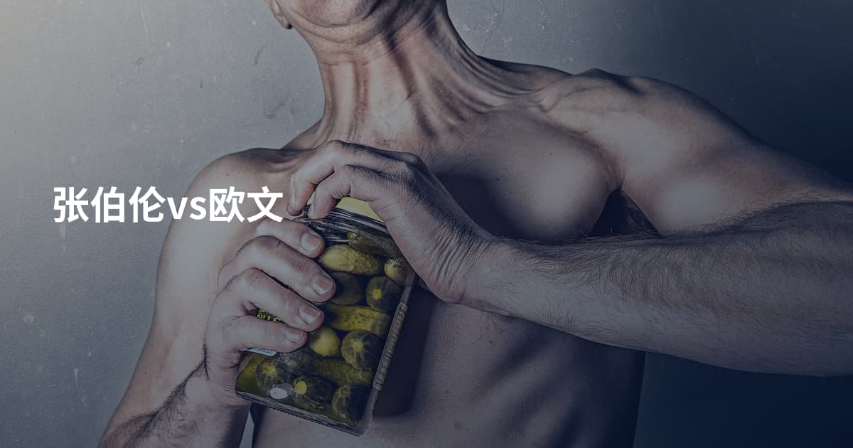 张伯伦vs欧文