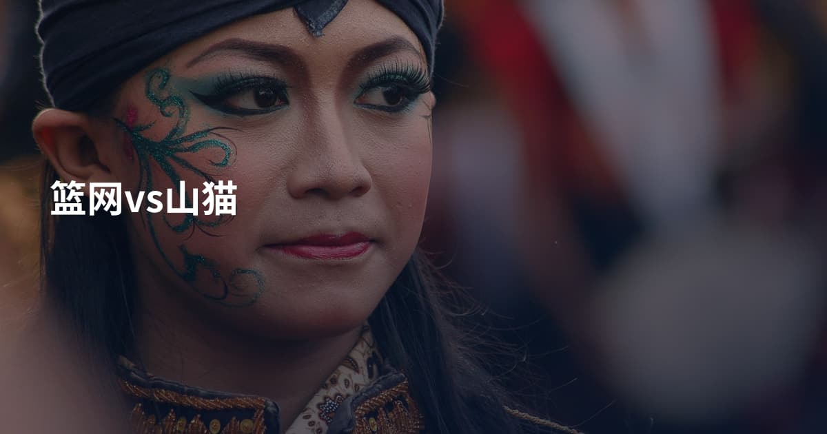 篮网vs山猫