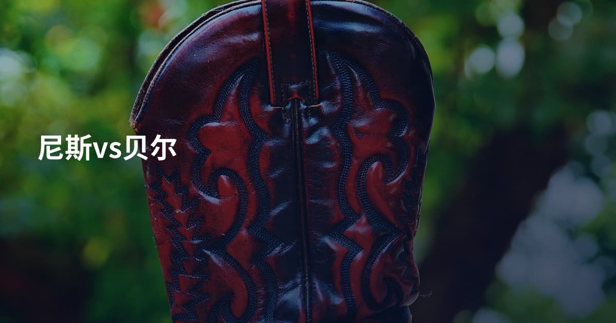 尼斯vs贝尔