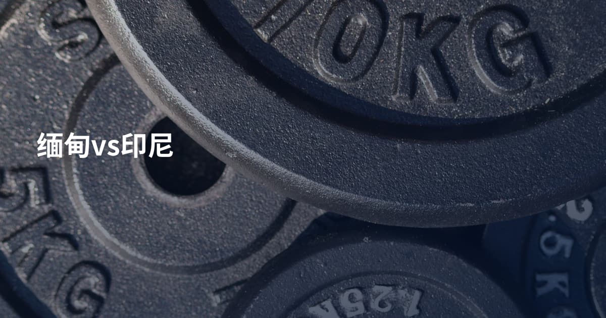 缅甸vs印尼
