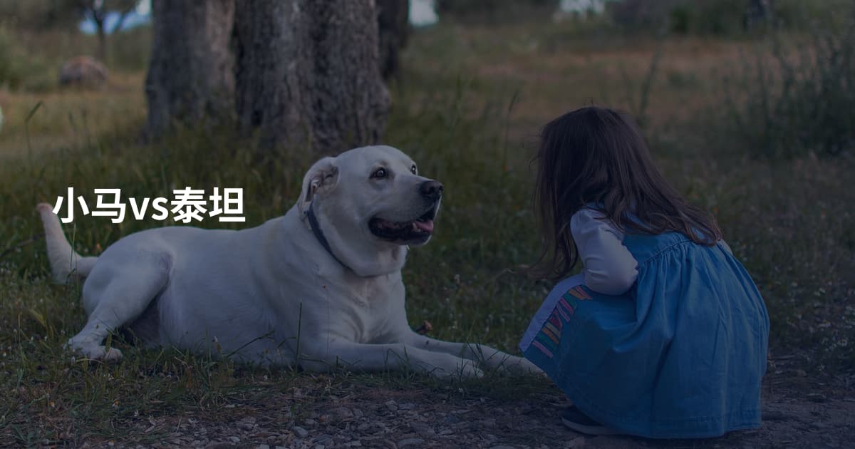 小马vs泰坦