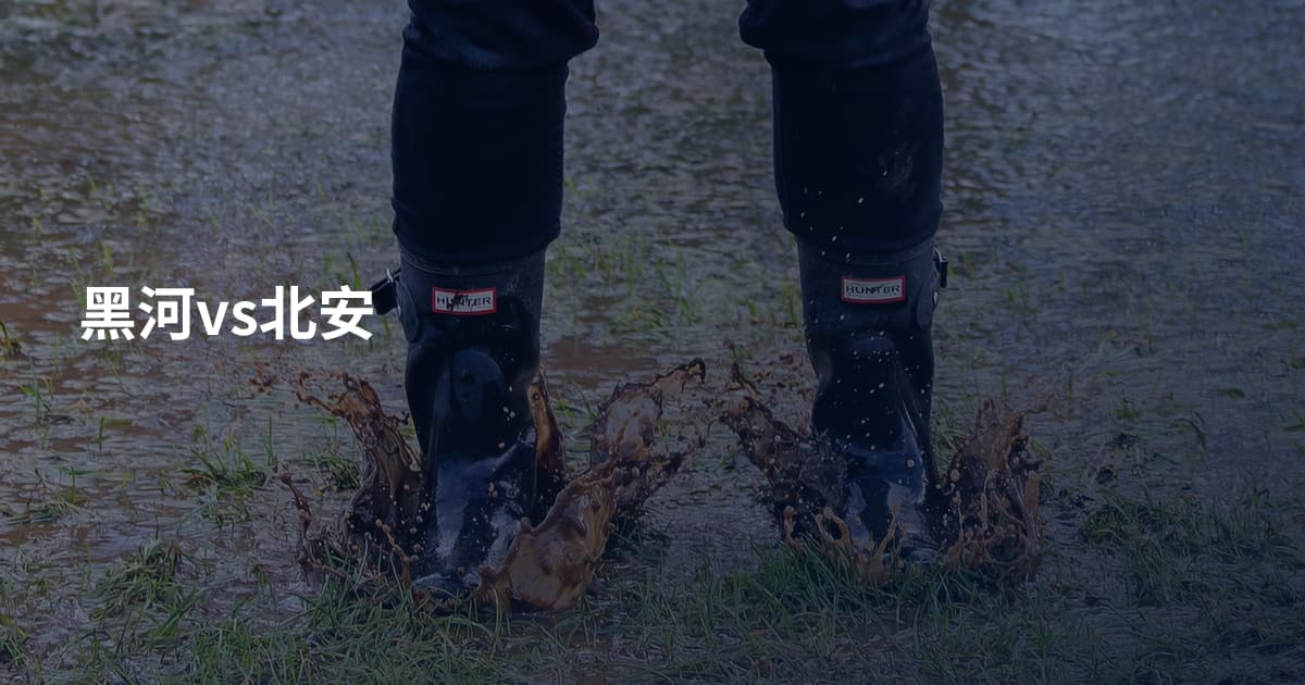 黑河vs北安