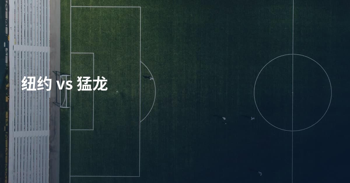 纽约 vs 猛龙