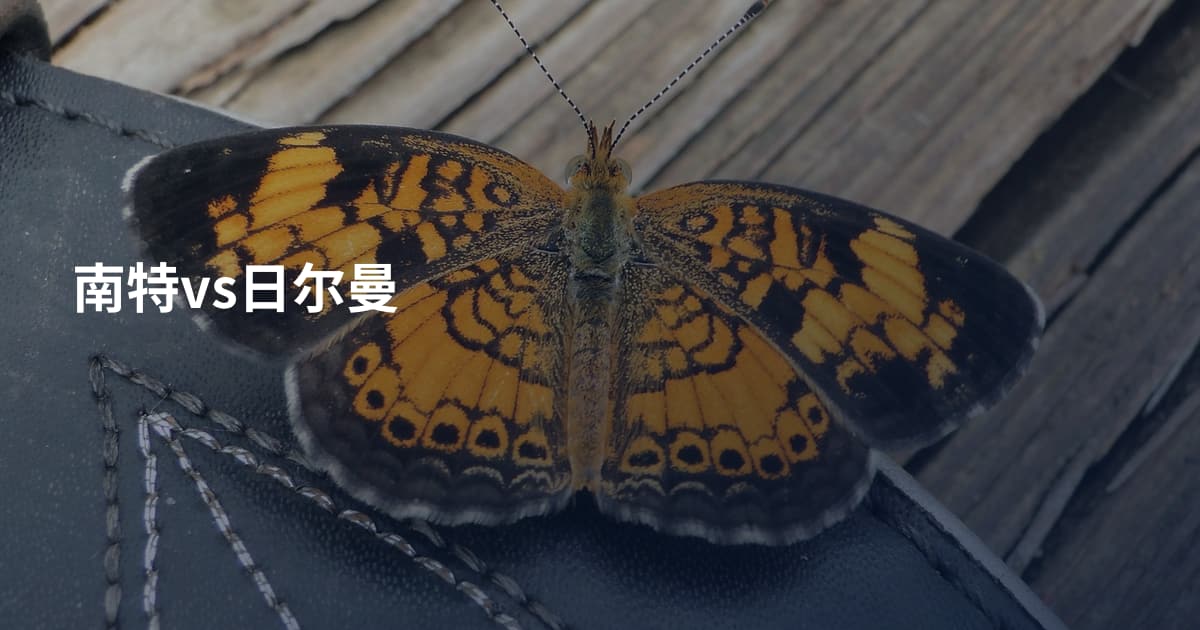 南特vs日尔曼
