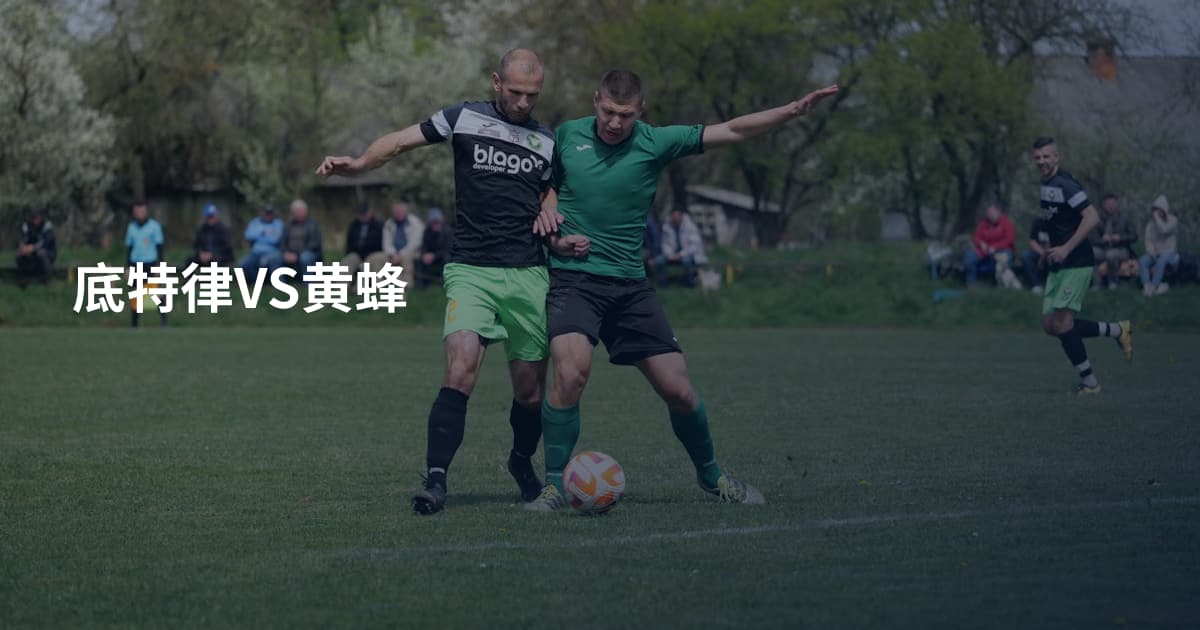 底特律VS黄蜂