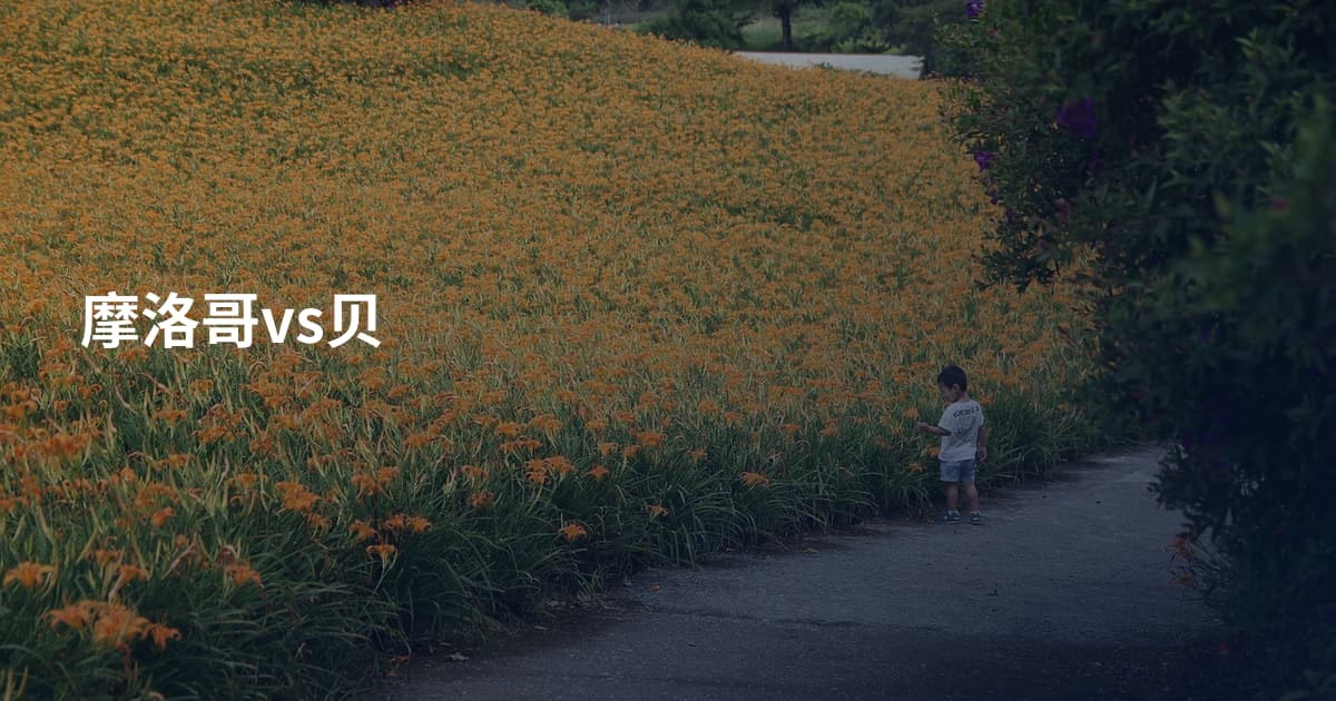 摩洛哥vs贝
