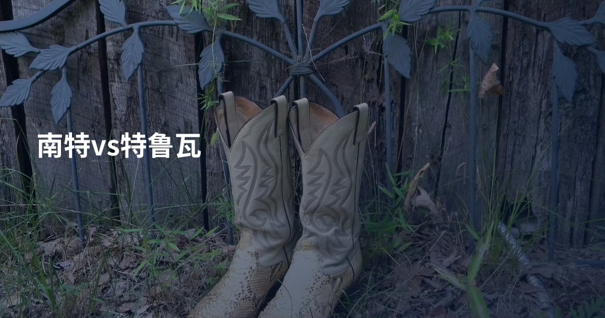 南特vs特鲁瓦