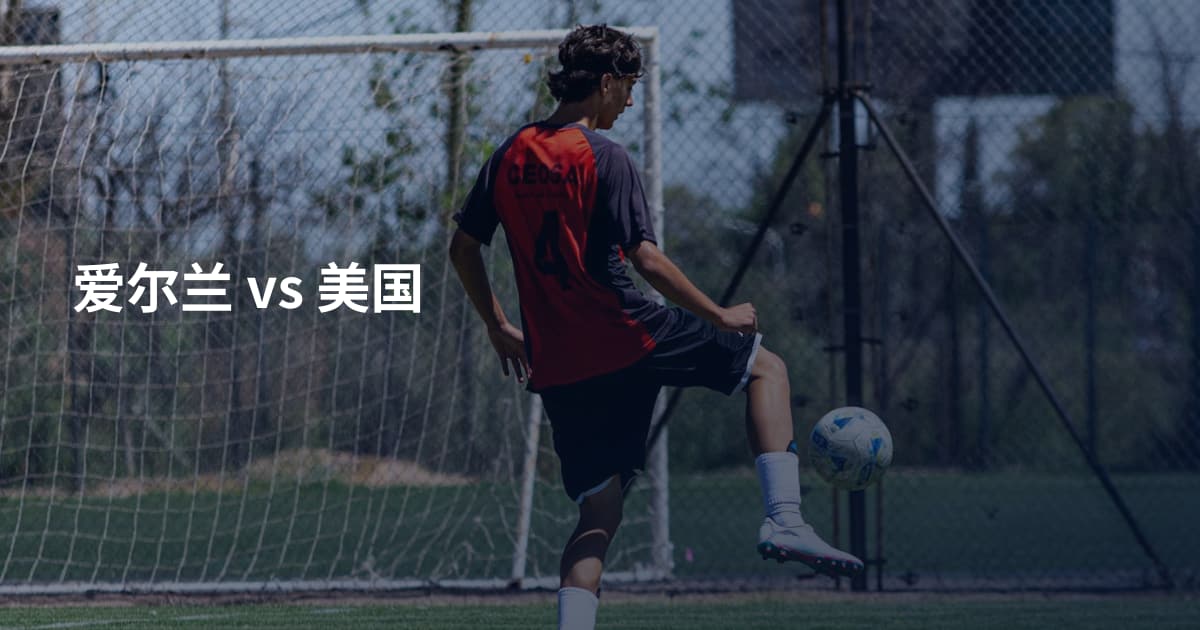 爱尔兰 vs 美国