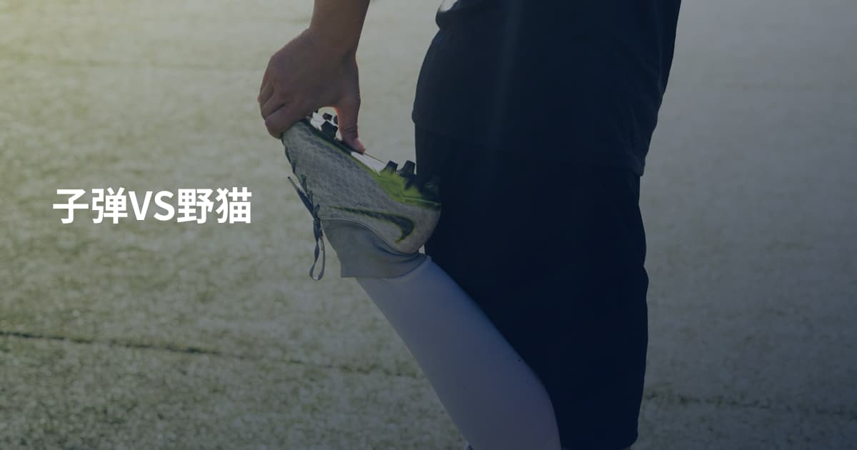 子弹VS野猫