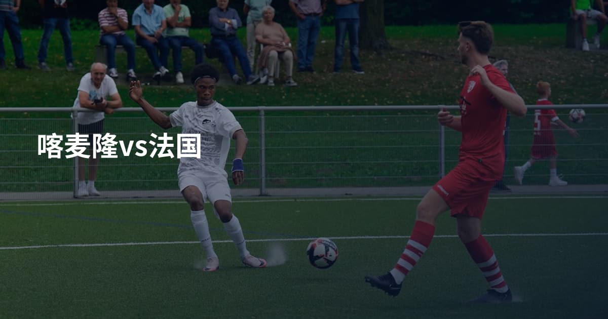 喀麦隆vs法国
