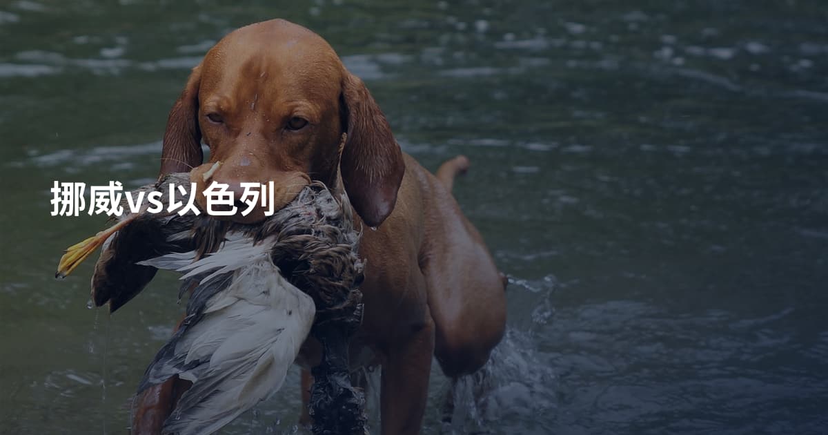 挪威vs以色列