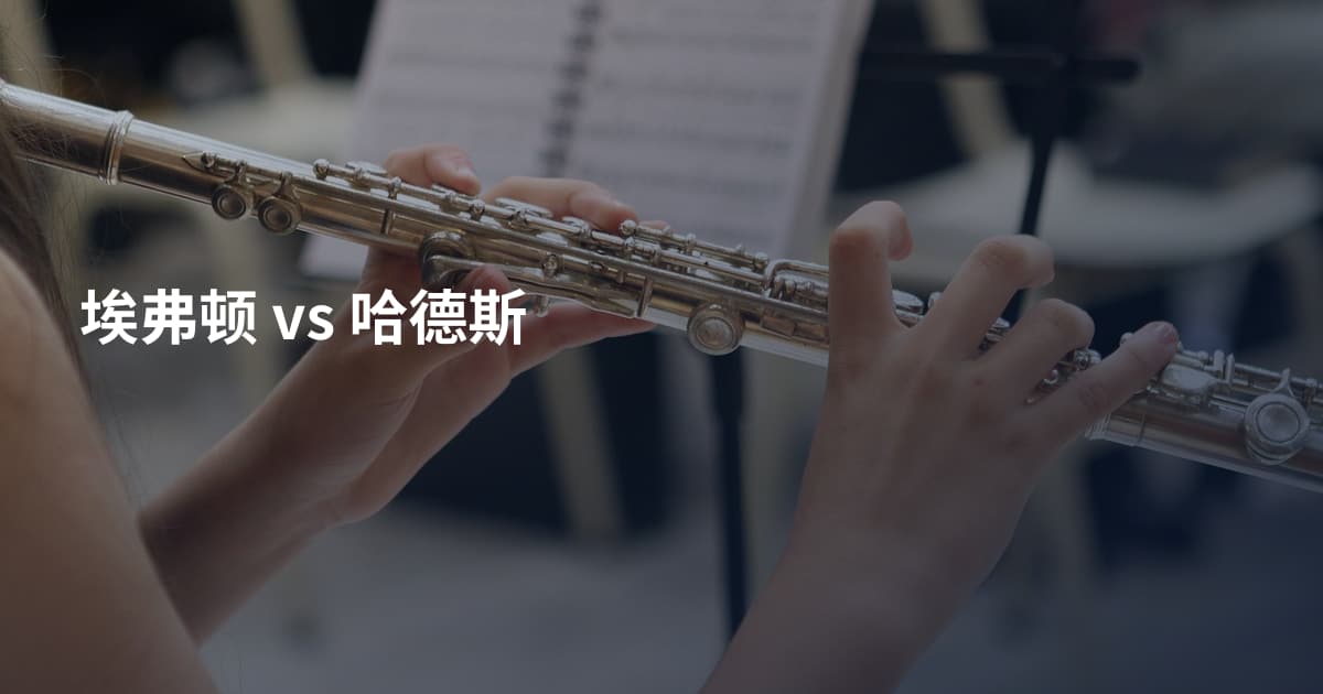 埃弗顿 vs 哈德斯