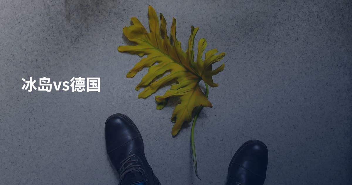 冰岛vs德国