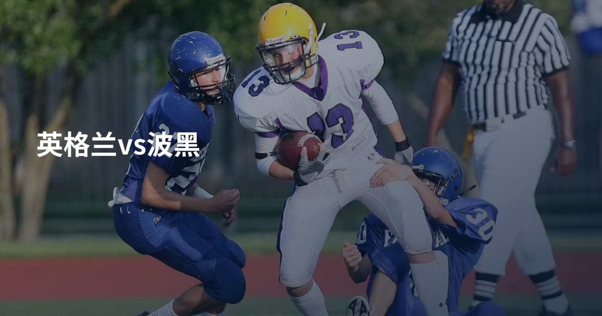 英格兰vs波黑