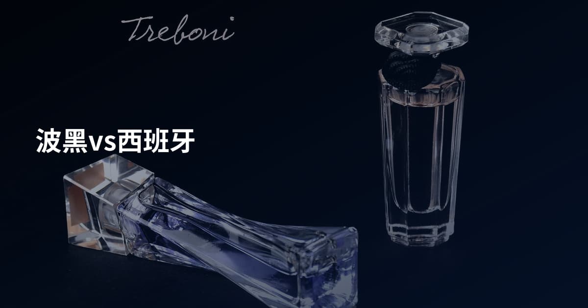 波黑vs西班牙