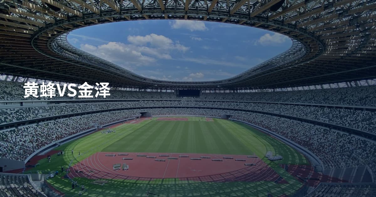 黄蜂VS金泽