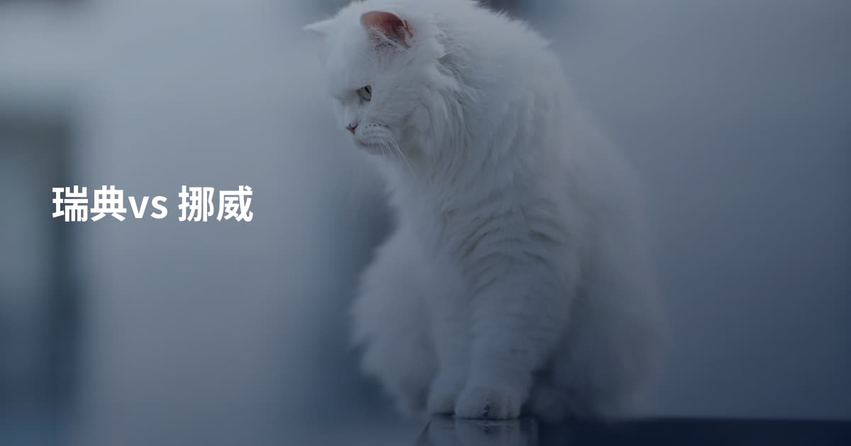 瑞典vs 挪威