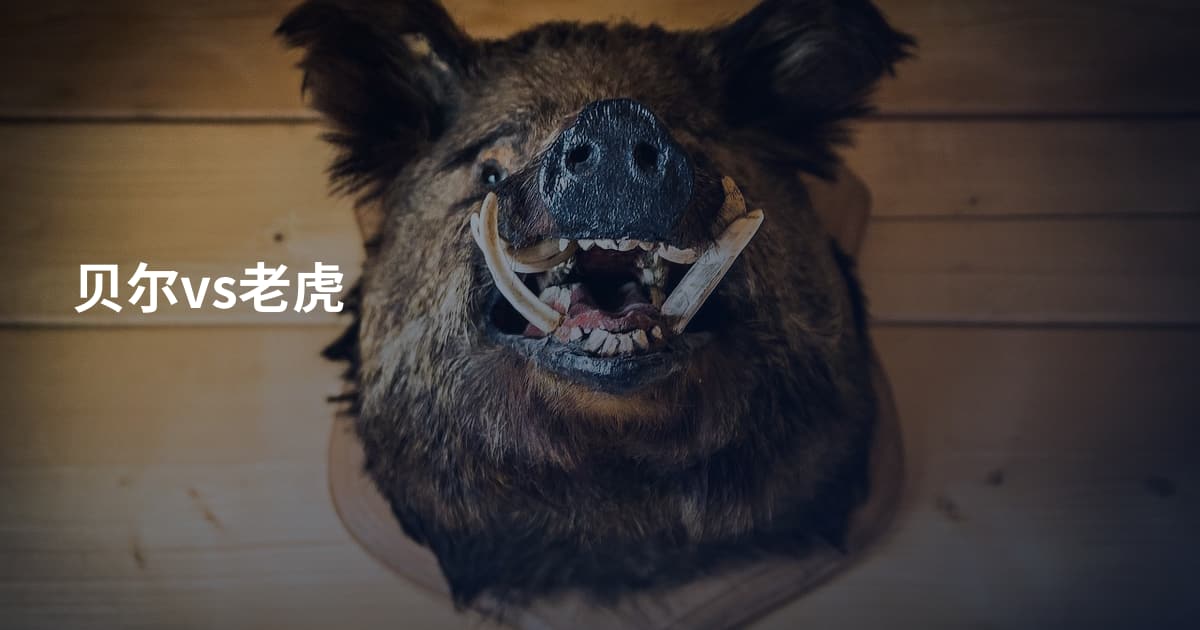 贝尔vs老虎