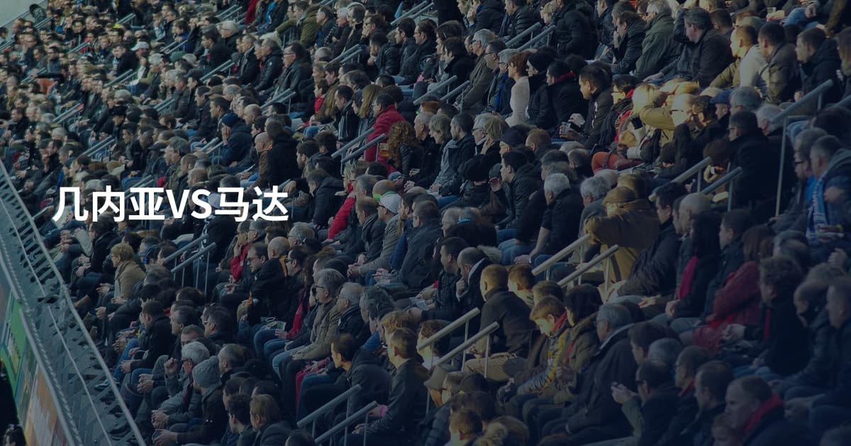 几内亚VS马达