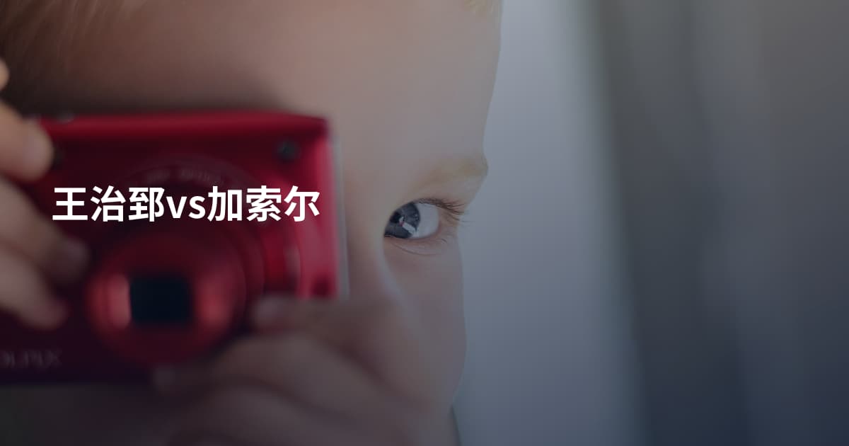 王治郅vs加索尔
