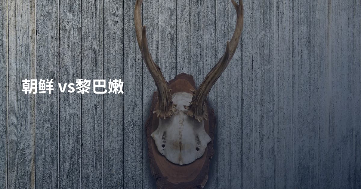 朝鲜 vs黎巴嫩