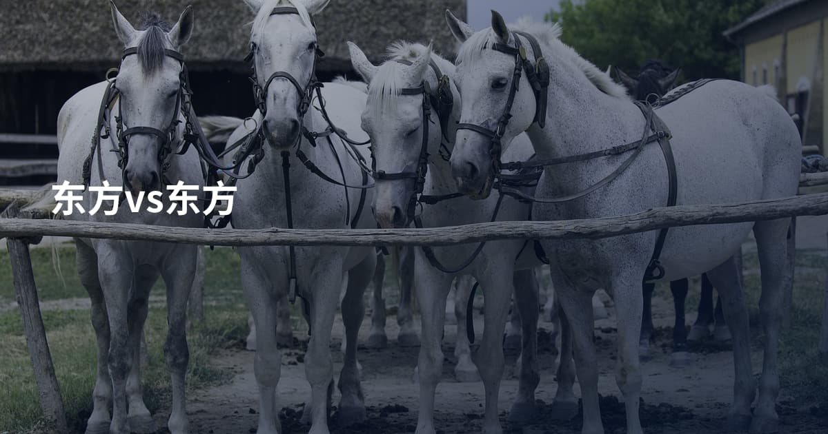 东方vs东方