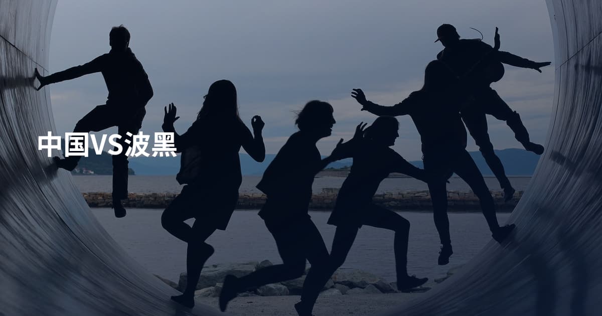 中国VS波黑