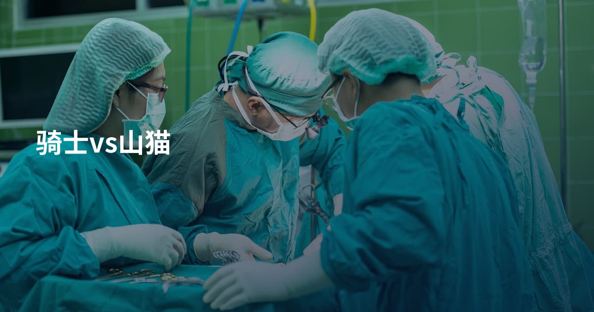 骑士vs山猫