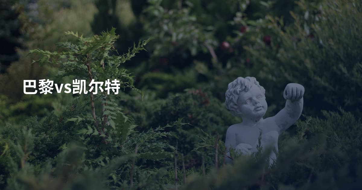 巴黎vs凯尔特