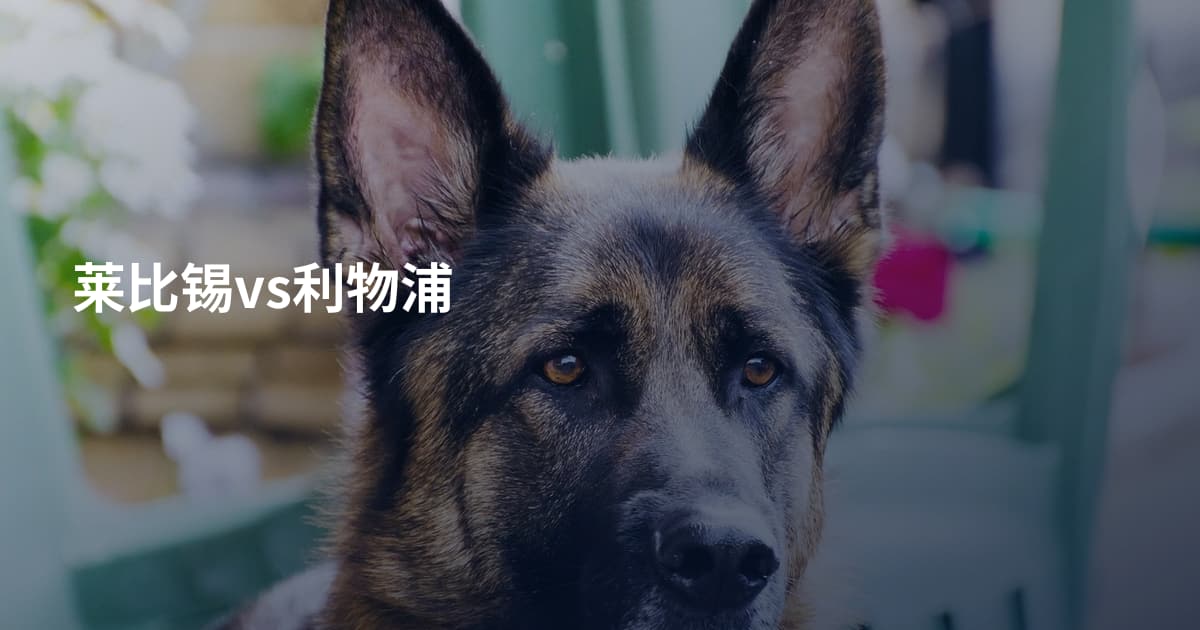 莱比锡vs利物浦