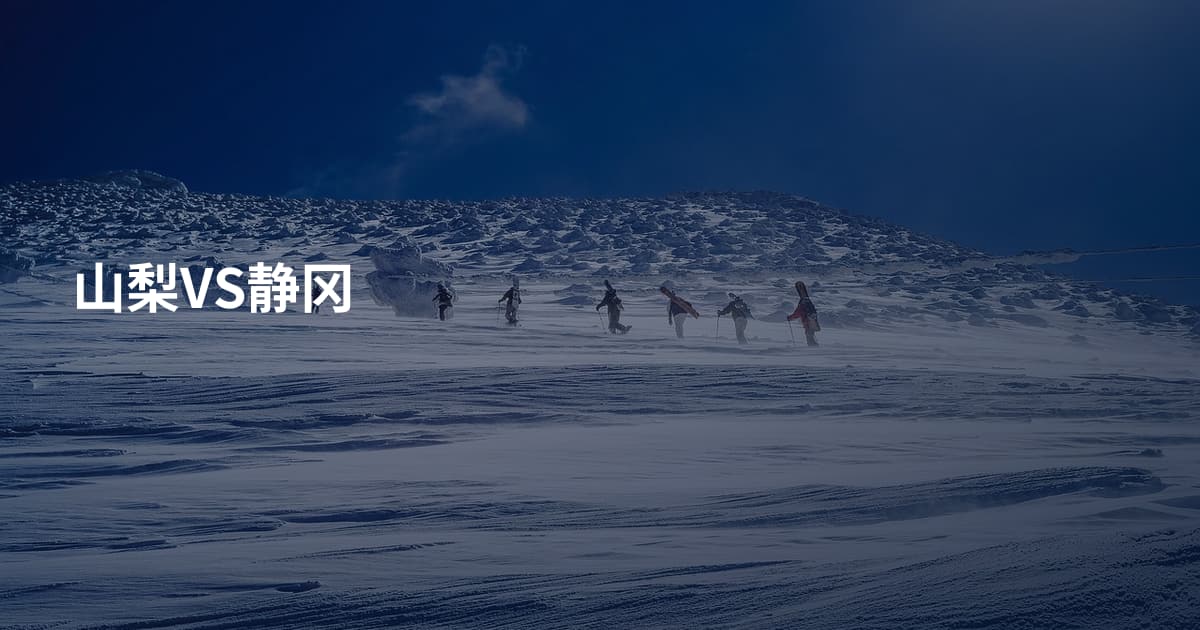 山梨VS静冈